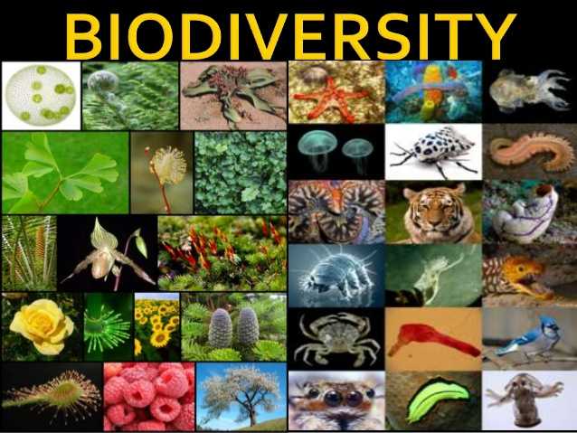 International Day of Biodiversity